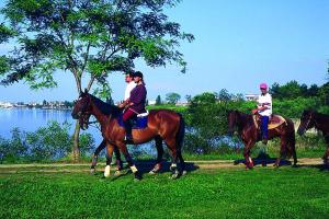 Επισκέπτες που μένουν στο Apartments in Lignano 21632