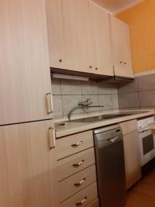 Kuchyň nebo kuchyňský kout v ubytování Apartman Sutomore