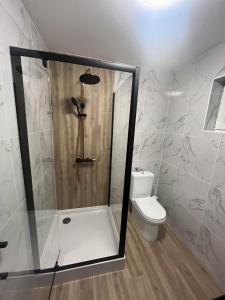 a bathroom with a shower and a toilet at Gemini Lux - Sun Balaton in Balatonkenese