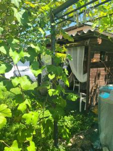 Ảnh trong thư viện ảnh của B&B Ma Maison ở Govone