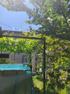 Ảnh trong thư viện ảnh của B&B Ma Maison ở Govone