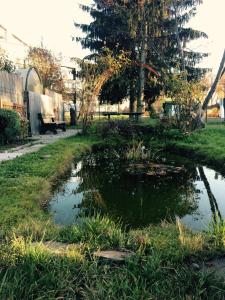 Zahrada ubytování 1 Zimmer Apartment mit Balkon