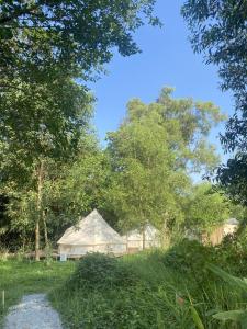 Příroda nedaleko luxury tent