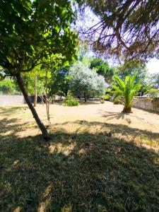 a park with trees and flowers in the shade at Cosy Home Santana in Santana