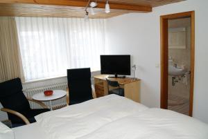 TV a/nebo společenská místnost v ubytování Hotel Braunlage
