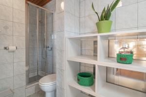 a bathroom with a toilet and a shower at Vineyard cottage Kolpa Zupančič in Stari Trg ob Kolpi +29 photos