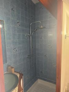 ein Badezimmer mit Dusche und Badewanne in der Unterkunft Studio indépendant in Divonne-les-Bains