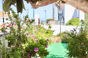 un giardino con fiori rosa e erba verde di Casa do Afonso a Sagres