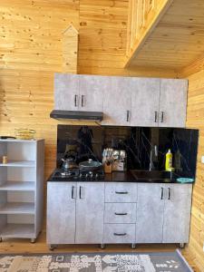 Kuchyň nebo kuchyňský kout v ubytování Archa Too Resort - Курорт Арча-Тоо - Кара-Кой