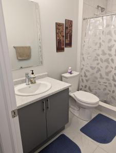 a bathroom with a sink and a toilet and a shower at Spacious Luxury walk out Basement in Kitchener +18 photos