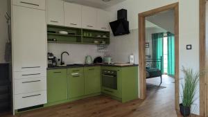 Kuchyň nebo kuchyňský kout v ubytování APARTAMENTY UL.SARNIA