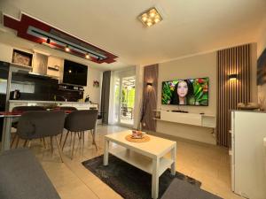 TV a/nebo společenská místnost v ubytování Apartment im Emmental