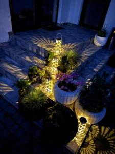 a group of potted plants on steps with lights at Готель White House in Yablunytsya