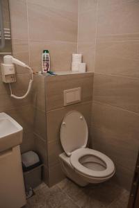 a small bathroom with a toilet and a mask at Motel Ječmište in Tuzla