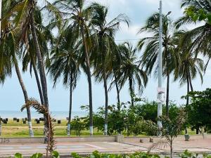 a group of palm trees with the ocean in the background at Hotel La Terrazza in Ríohacha