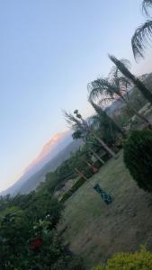a view of a hill with palm trees and a mountain at Amani home in Nkunjila +1 photo
