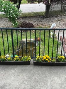 two containers of flowers next to a fence with a pond at Chrám Ticha in ľubá