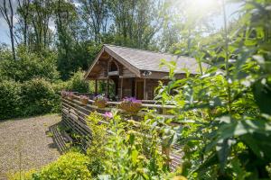 Κήπος έξω από το Pwll Cabin