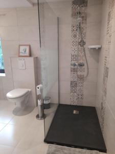 a bathroom with a shower with a toilet and a rug at Au Bonheur d'Angeline in Castelnaud La Chapelle +4 photos