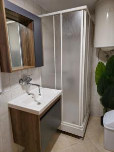 a bathroom with a sink and a shower at Main square - Palace La Grande 150 m2 in Skopje +35 photos