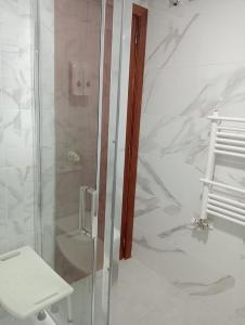 a shower with a glass door next to a toilet at Chillout La Rioja in Haro