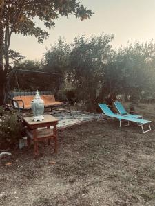 Κήπος έξω από το The land of the olive tree