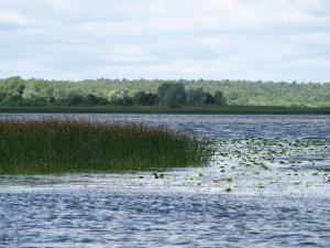 a large body of water with grass and weeds at Atpūtas namiņš in Burtnieki