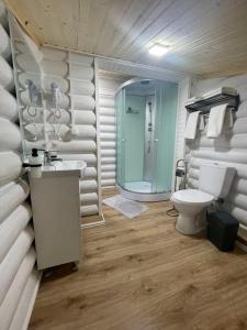 a bathroom with a toilet and a sink and a mirror at Отель MONBLAN in Yablunytsya