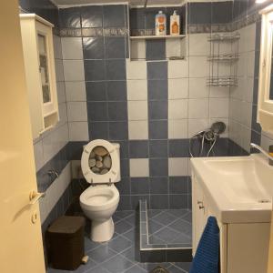 a small bathroom with a toilet and a sink at Rosemary studio in Nea Kallikrateia +16 photos
