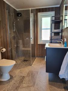 a bathroom with a shower and a toilet and a sink at Hytte ved sjøen in Røyra