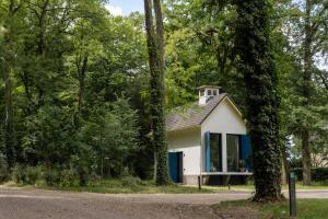 多廷赫姆Bed & Breakfast De Pol的树林里有一座带蓝色门的白色小房子