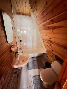 a bathroom with a toilet and a sink and a tub at Дача Фонтанка in Fontanka