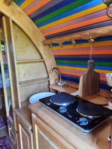 a kitchen with a stove and a rainbow wall at Roulotte LA Bohémienne in Grosbreuil