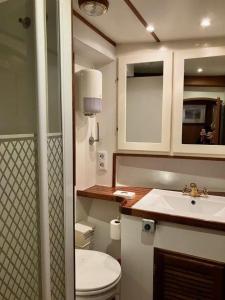 Mälardrottningen Yacht Hotel的一间浴室