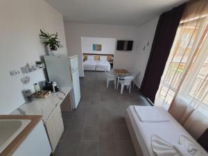 Η κουζίνα ή μικρή κουζίνα στο Apartments Lozenets