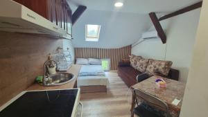 Eine Küche und ein Wohnzimmer mit Sofa und Spüle in der Unterkunft Old Style in Vratsa