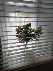 Imagen de la galería de Cosy three bedroom house in Ballingarry Limerick near Adare, en Balnacart 58 fotos más