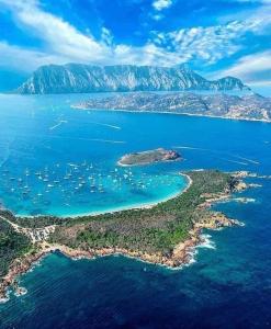 an aerial view of an island in the water at HOTEL Al FARO , SPIAGGIA LA CINTA ,SAN TEODORO in San Teodoro
