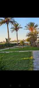 Κήπος έξω από το شاليه فندقي للإيجار بمارينا 2