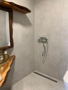 a shower stall in a bathroom with a sink at Near Everything Apartment in Győr