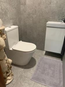 a bathroom with a white toilet and a sink at Near Everything Apartment in Győr