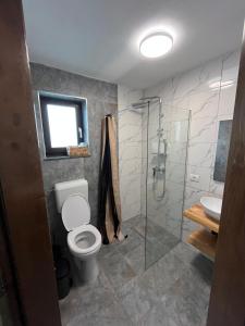 a bathroom with a toilet and a glass shower at Hillside Chalet in Buzoel +11 photos