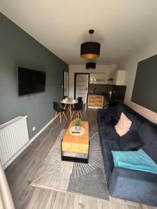 TV a/nebo společenská místnost v ubytování Pokoje I Apartamenty Polna 19
