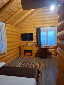 a living room with a fireplace and a tv at Stâna Boierilor in Gura Rîului