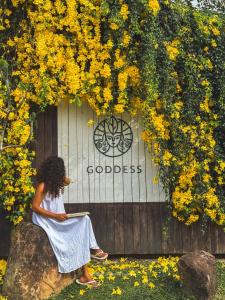 Zahrada ubytování GODDESS Kandy