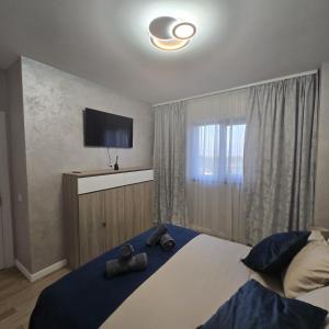 コンスタンツァにあるLuxury 2 Bedroom Apartmentのベッドルーム1室(大型ベッド1台、テレビ付)