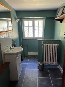 a green bathroom with a sink and a radiator at Heron House in Warwick