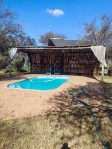 a swimming pool with a wooden building and a hose at Aloe Bush Game Lodge in Marble Hall