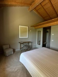 a bedroom with a bed and a table and a chair at Agriturismo Capuccina in Borgomanero