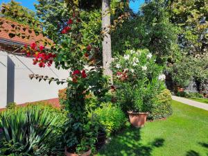 A garden outside Apartment Siofok, Lake Balaton 5